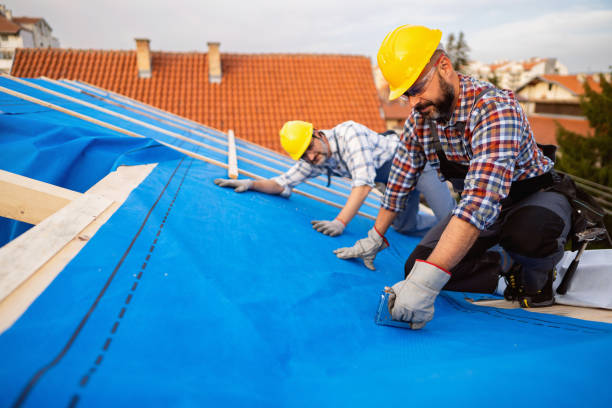 Best Storm Damage Roof Repair  in Dupo, IL