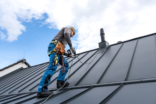 Best Metal Roofing Installation  in Dupo, IL